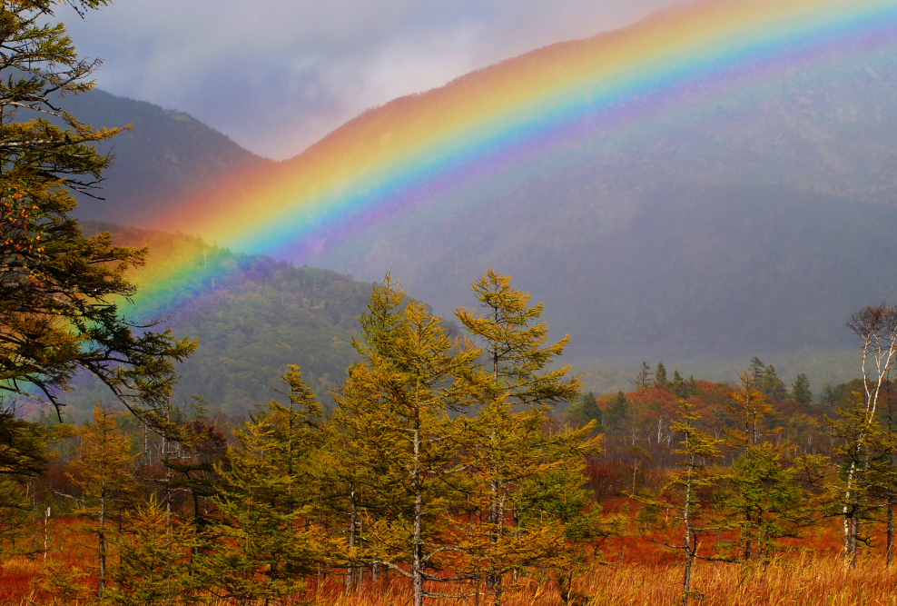 戦場ヶ原の虹